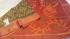 COTTON X KORA SILK TIE DYE SAREES CHINNLAPATTI